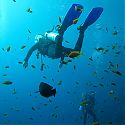 Scuba Diving, The Lighthouse, Dahab, Red Sea, Egypt.