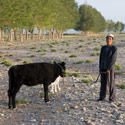 Nomad, Tsaidam Depression, Tibetan Plateau, China.