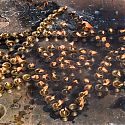 Butter Lamps, HSwayambhunath, Kathmandu, Nepal.