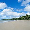 Myall Beach, Cape Tribulation, Queensland, Australia.