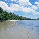 Myall Beach, Cape Tribulation, Queensland, Australia.