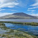 Laguna Colorada, Eduardo Avaroa Reserve, Bolivia.