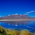 Laguna Callapa, Eduardo Avaroa Reserve, Bolivia.