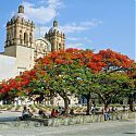 Iglesia de Santo Domingo, Oxaca, Mexico.