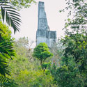 Mayan Ruins, Tikal, Guatemala.