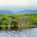 Wilsons Promontory National Park, Victoria, Australia.