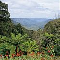 Blue Mountains, NSW, Australia.