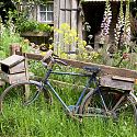 The Fenland Alchemist Garden