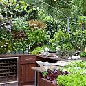 Freshly Prepped by Aralia