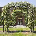 Apple Archway